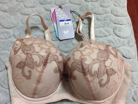 转华歌尔，戴安芬内衣