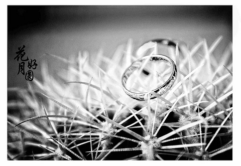 如果再过五十年,我还能牵着你的手