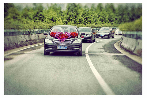 如果再过五十年,我还能牵着你的手