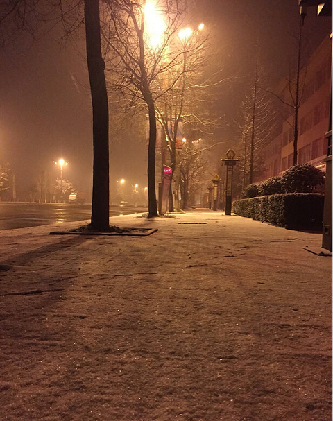 喜欢雪花淅沥沥的下 穿着大衣在雪里走 心