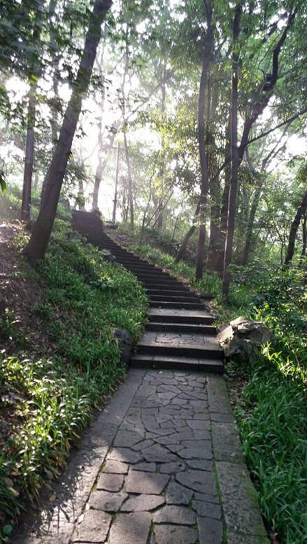早晨的杭州城隍山.