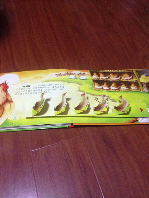 【5月绘本】我们长得不一样_19楼手机版