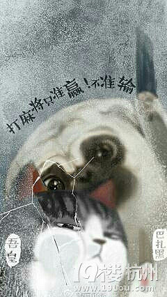 就是喜欢你看不惯我又干不掉我的样子.