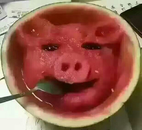 做人没智商没情商但是大气做女人智商高不