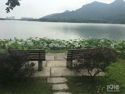 谁能与我同醉,相知年年岁岁