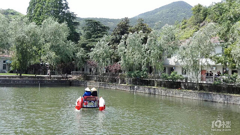 【8月避暑】嵊州唐溪图片-四明山脚下凉快地女生草庐图片性感背影图片