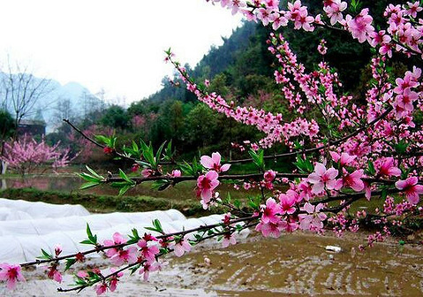 桃花岛旅游景点大集合,东邪黄药师的老家.