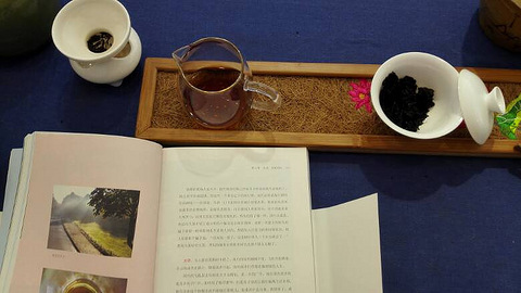 一壶好茶,一本好书,悠闲一下午,我有茶