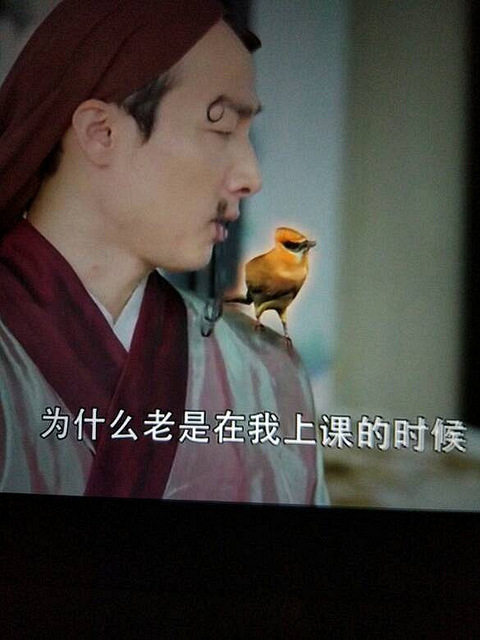 正在看我的仙界学院,感觉好狗血,女主考试_19