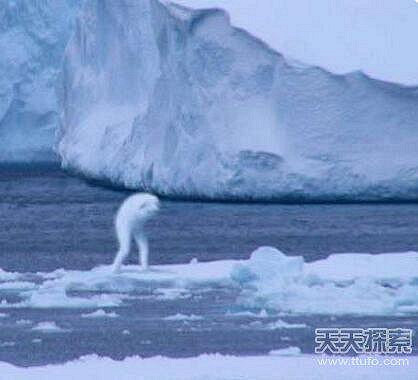 南极拍到30公尺巨型人类 真相让人胆颤