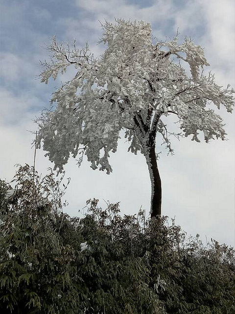重庆下雪下冰雹了,冻成狗了,感觉把冬天