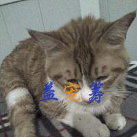 益宠筹:法阿姨走投无路 急需帮助 爱心接力