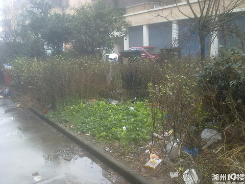 湖州市练市镇中吉北路小区没有物业好几年了,