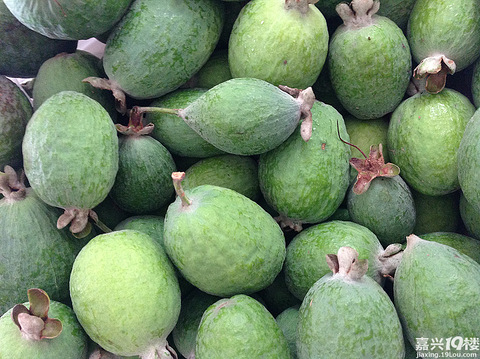 新西兰水果 无花果vs斐济果