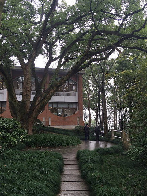 倚楼听风雨,淡看红尘路。深山觅归人,相望