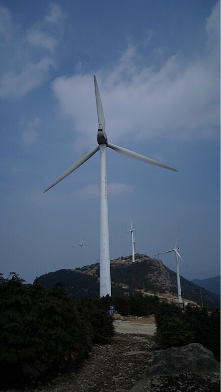 【出游推荐】清明小长假去哪里踏春?台州这些