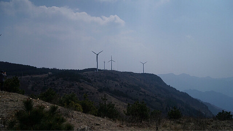 【出游推荐】清明小长假去哪里踏春?台州这些