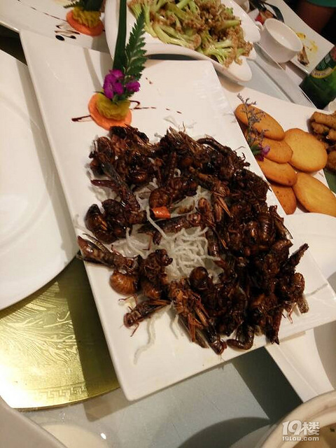 驾照一次12分一年能扣几次