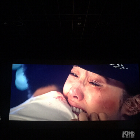 多希望你就是最后的人,但是年轮和青春不忍