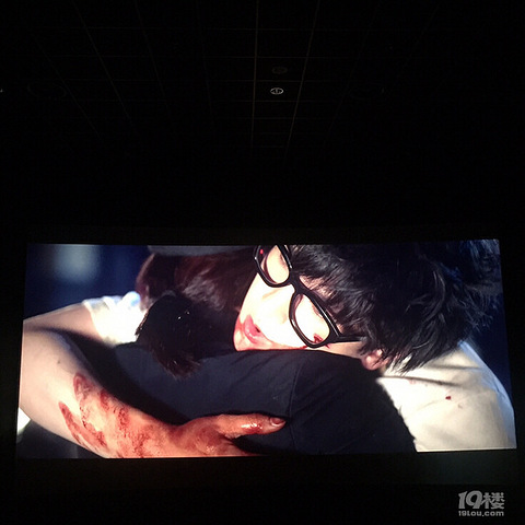 多希望你就是最后的人,但是年轮和青春不忍