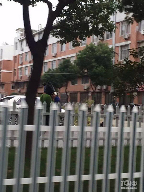 这是多大的雨把塑料袋套在头上 想笑死人吗