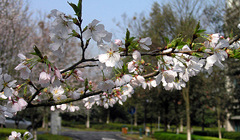 http://www.19lou.com/forum-1597-thread-13201334217987378-1-1.html