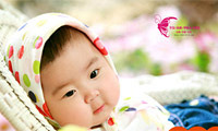 �뵺��ζ������Ӱ��