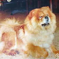 买不到0-12个月的伊可新鱼肝油了大家给宝宝换