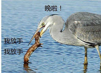 С벶Բأ