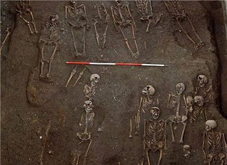 ��ѧ������Ĺ�� ����ǧ�ߺ���