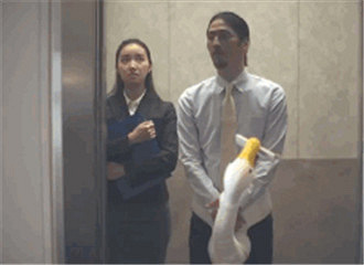 ���ֻ����ˣ�����������˫�֣�