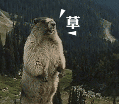 咆哮的土拨鼠表情包,啊啊啊啊啊啊啊啊啊啊啊啊啊啊啊