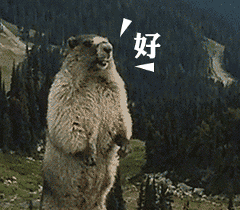咆哮的土拨鼠表情包,啊啊啊啊啊啊啊啊啊啊啊啊啊啊啊