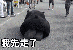 ——熊本熊表情包