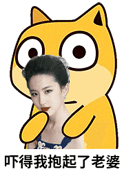 吓得我抱起了你(doge.jpg)