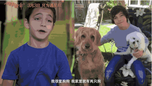 送票一只狗的使命轮回四世只为遇见你这次真被感动到