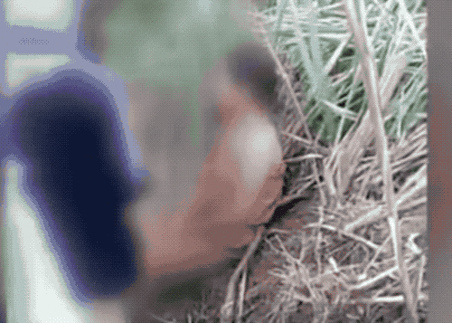 14岁女生遭多人打巴掌抓胸猥亵