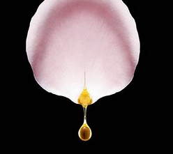 ��װ�ɻ�����