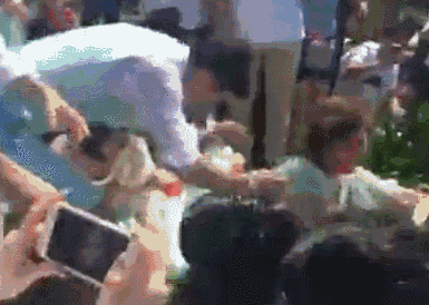 柳岩:包贝尔婚礼