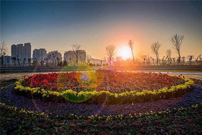 �ճ�����