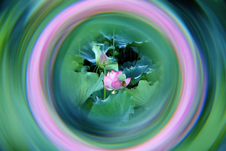 һĺ