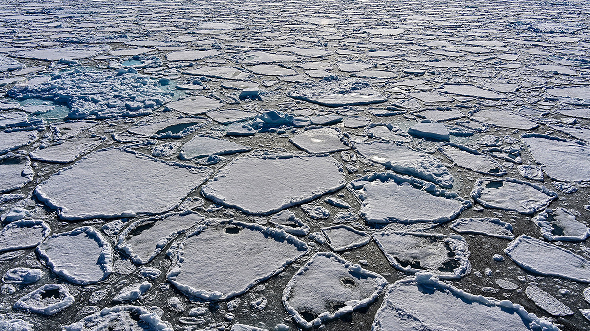 �����ĸ�����