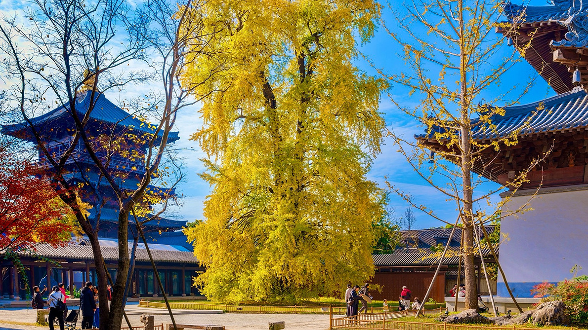 ����ˮ�硪���Ժ����