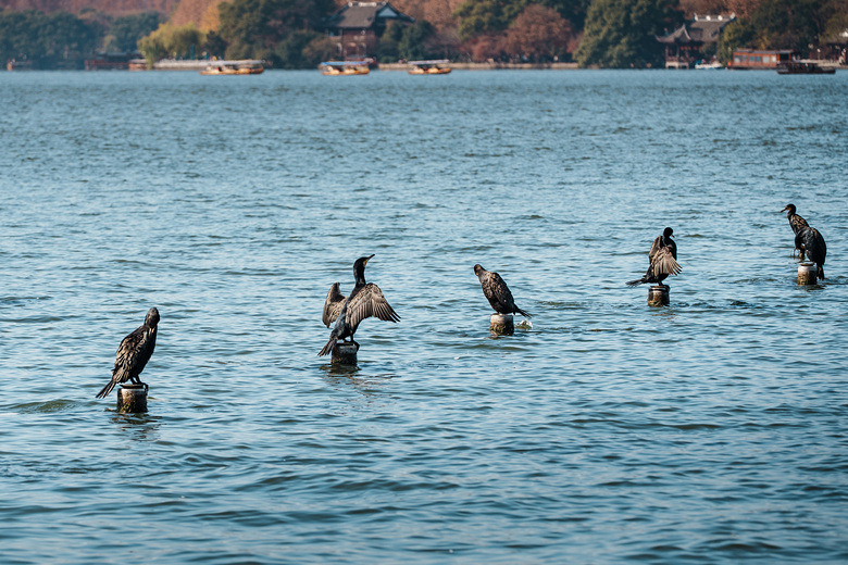 �ѿ����ļ�¼����