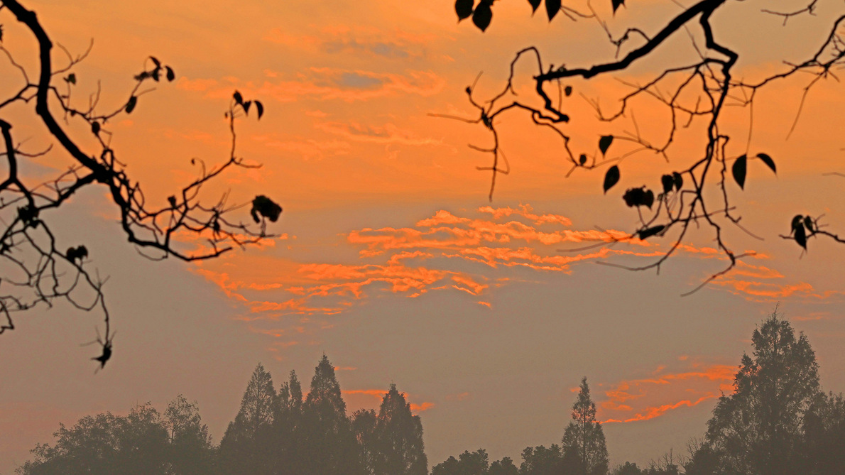 �����еĹ�ׯ��̴���ͷ�ճ���ϼ