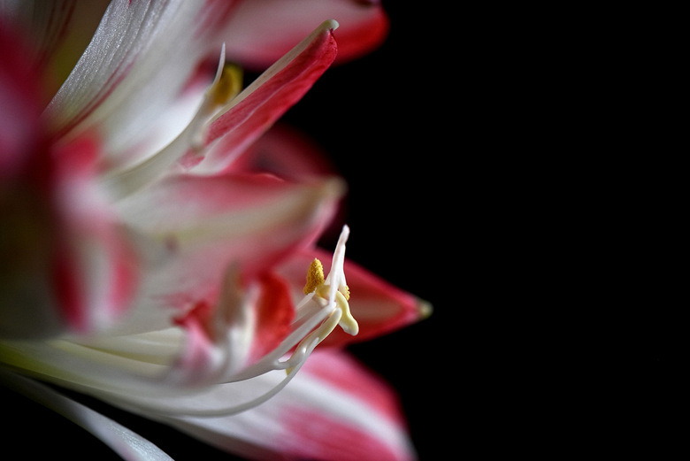 �������ڽ�����