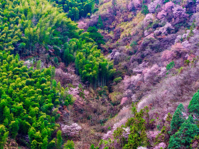 �ؾ������ֵ�ɽ������ʱ