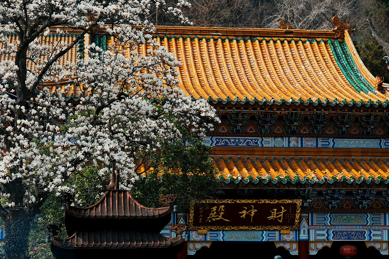 ��Ŀ����