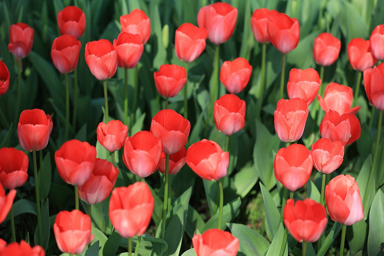 ̫����������