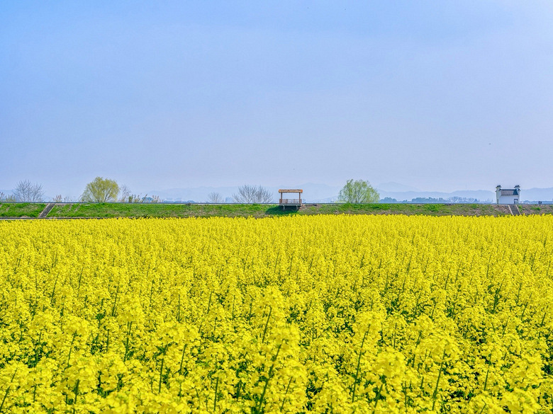 ������Ͳ˻���